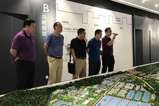 開(kāi)平市科工商務(wù)局 資本投資咨詢(xún)服務(wù)的專(zhuān)業(yè)引領(lǐng)者